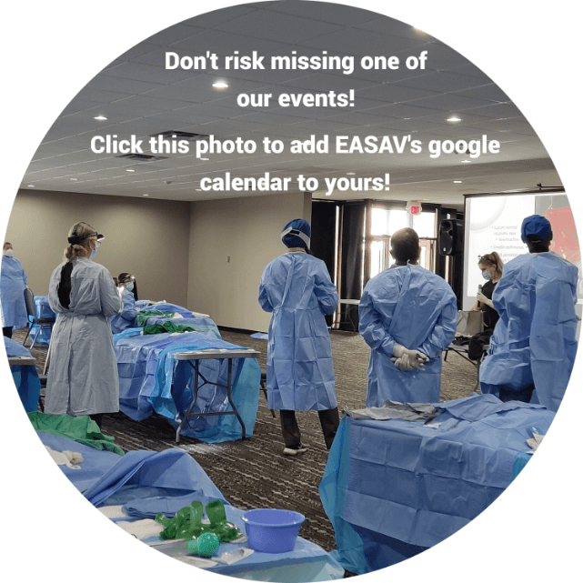 Add the EASAV Calendar to your own